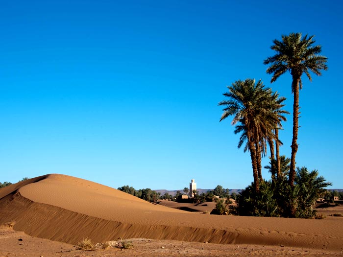 Marocco - deserto