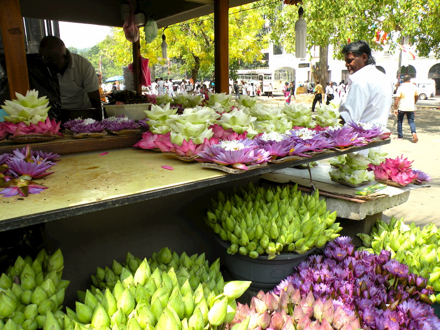 Adventour - Sri Lanka - Kandy - fiori