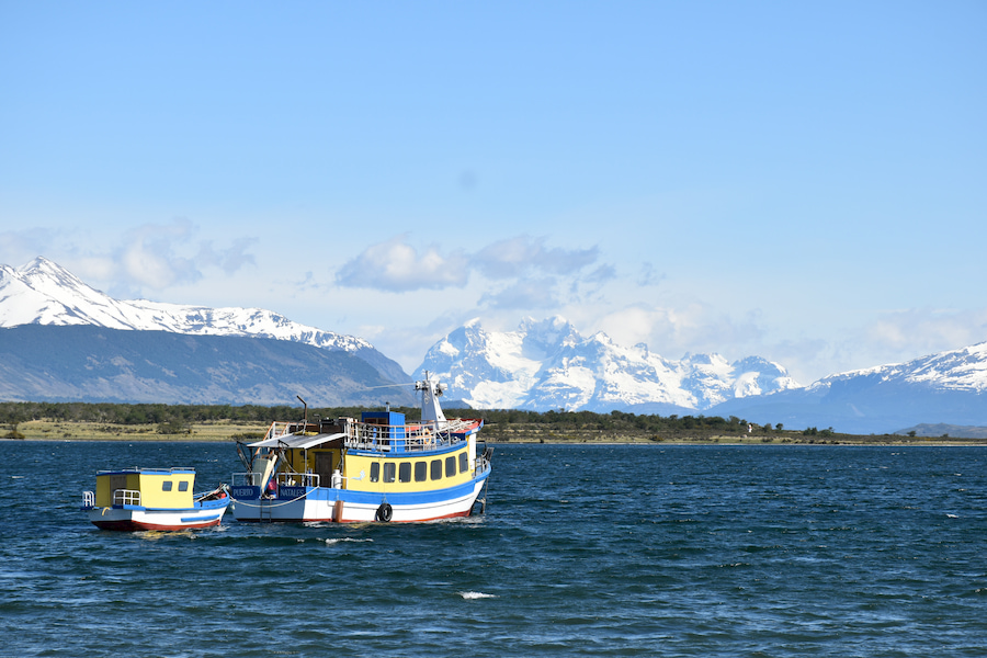 Adventour - Patagonia - Puerto Natales